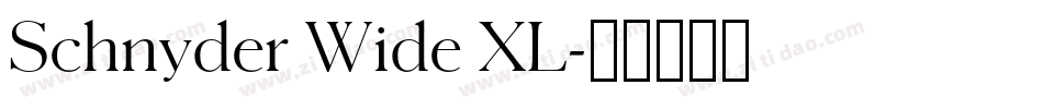 Schnyder Wide XL字体转换